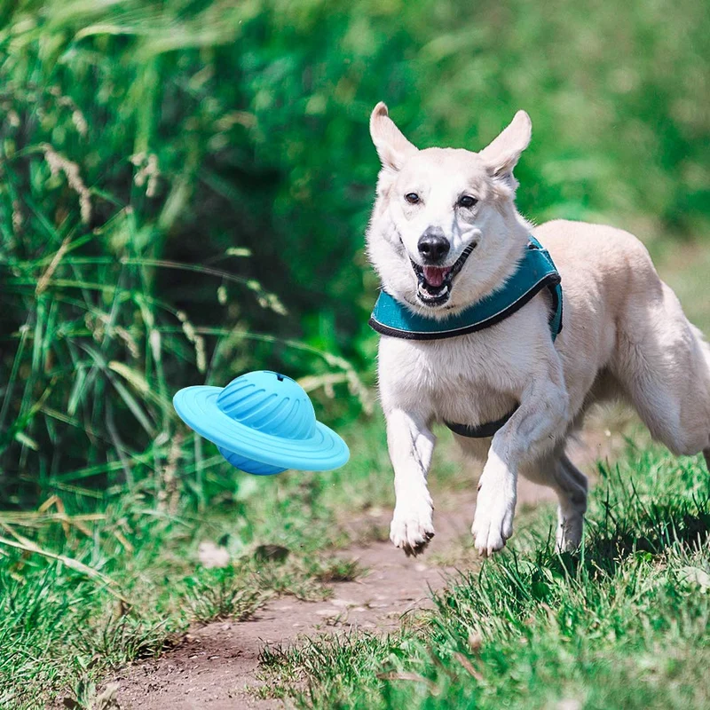 Wisedom Dog Treat Ball IQ Juguete interactivo para dispensar comida para perros medianos y grandes
