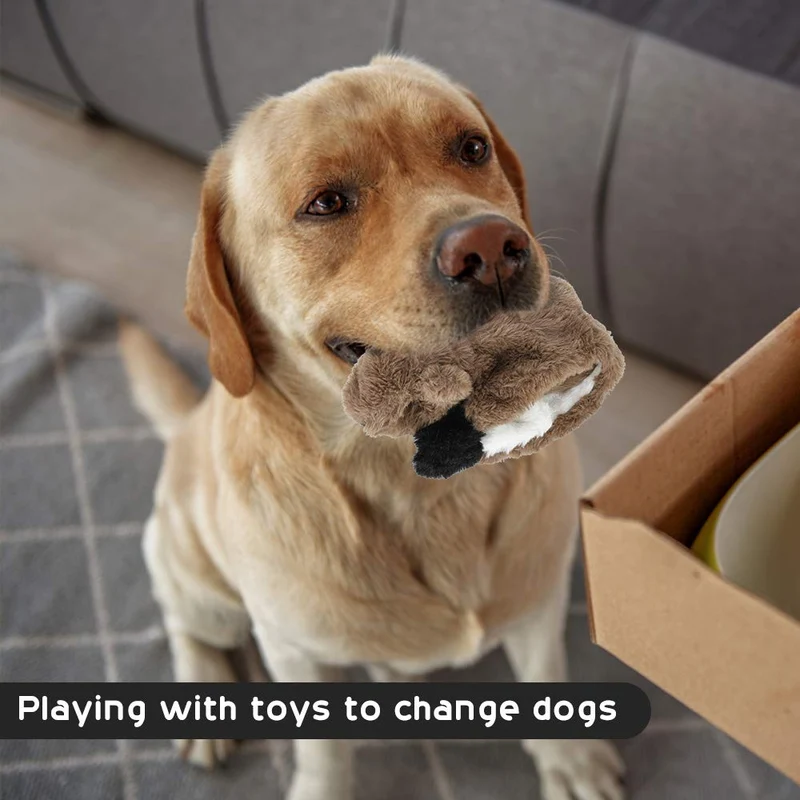 Juguete para perro de Nocciola, sin relleno, juguete para perro de felpa chirriante, duradero, sin relleno, juguete para masticar para perros medianos y grandes, paquete de 5