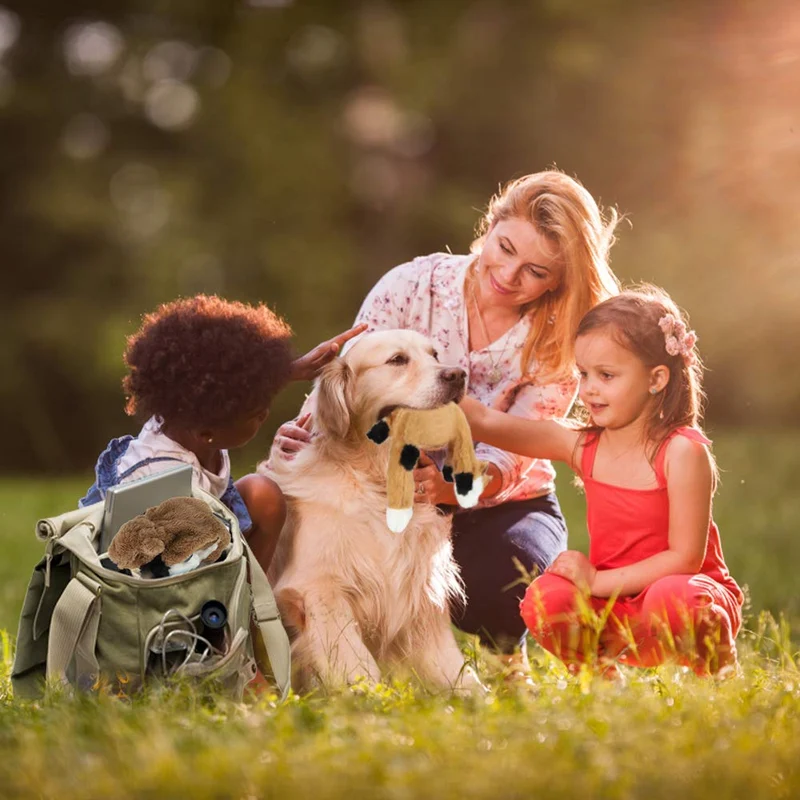 Juguete para perro de Nocciola, sin relleno, juguete para perro de felpa chirriante, duradero, sin relleno, juguete para masticar para perros medianos y grandes, paquete de 5