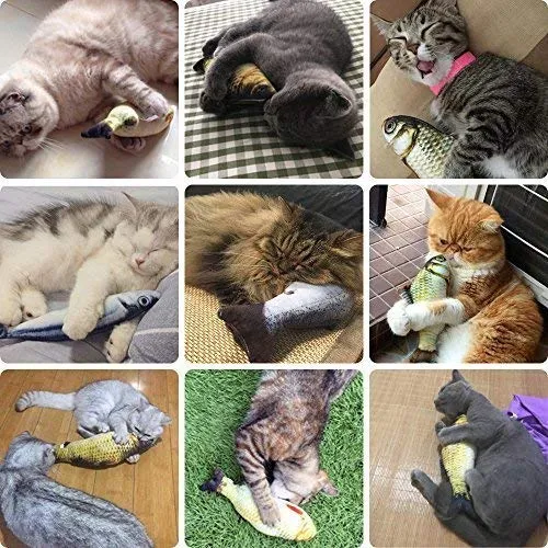 MAXXV - Juguetes de pesca para gatos - Catnip orgánico de América del Norte - 3 piezas para gatos - 8 "Simulación de pesca de peluche para gatos - Juguete de gato para gatitos y adultos
