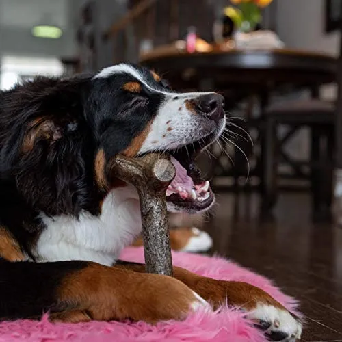 Pet Qwerks BarkBone