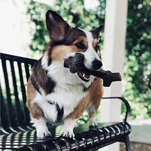 Pet Qwerks BarkBone