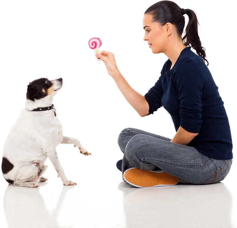 Paquete de 14 juguetes de peluche para perro, para cachorros pequeños, medianos y perros