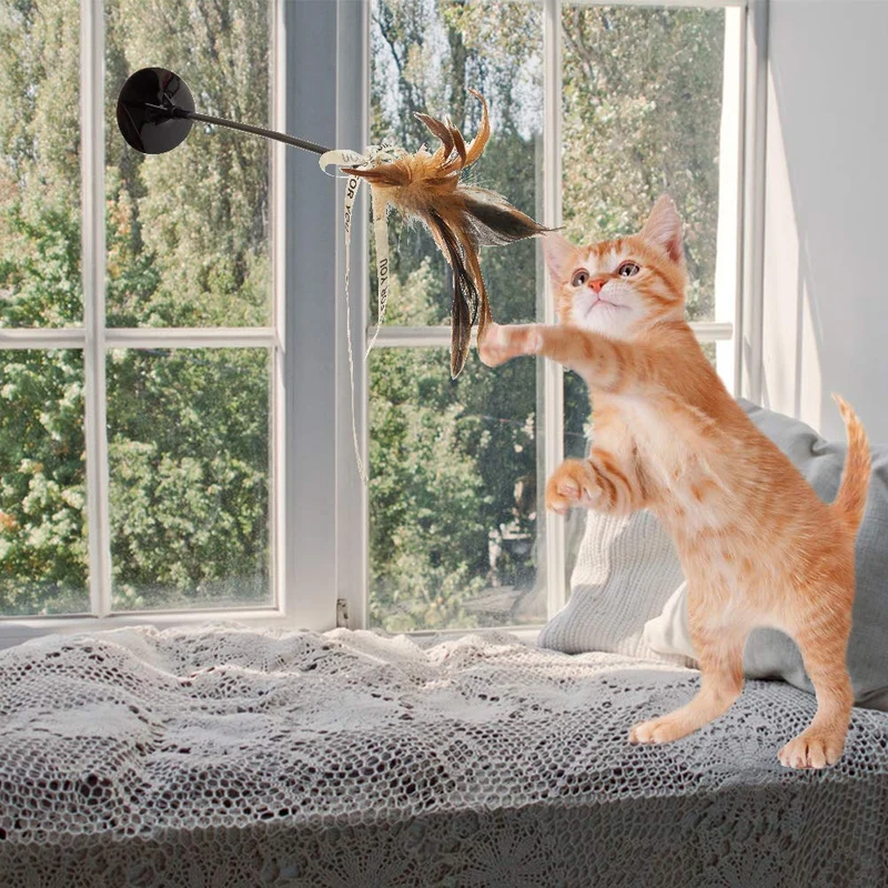 Bingpet - Varitas interactivas para gatos con ventosa y campana (4 unidades, plumas de gato, juguetes para ratón)
