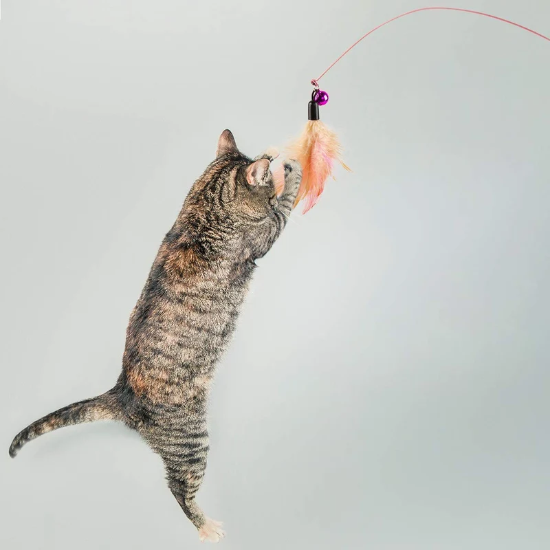 Cossy - Juego de 18 juguetes para gatos, incluye mordedor de plumas de gato, varita interactiva, ratón esponjoso, bolas arrugadas para gato, cachorro, gatito y gatito
