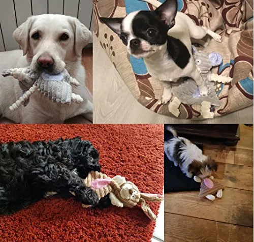 Comtim - Juguetes para perros con chirridos, duraderos, sin pelusas, para perros pequeños y cachorros