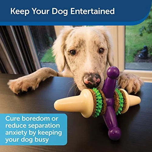 Juguete para perro PetSafe Busy Buddy Jack, juguete para masticar con dulces