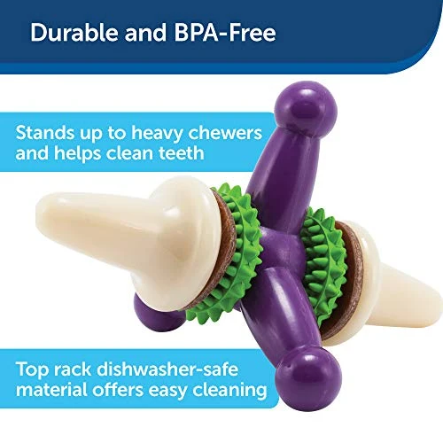 Juguete para perro PetSafe Busy Buddy Jack, juguete para masticar con dulces