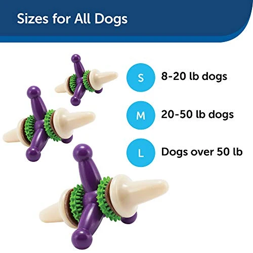 Juguete para perro PetSafe Busy Buddy Jack, juguete para masticar con dulces
