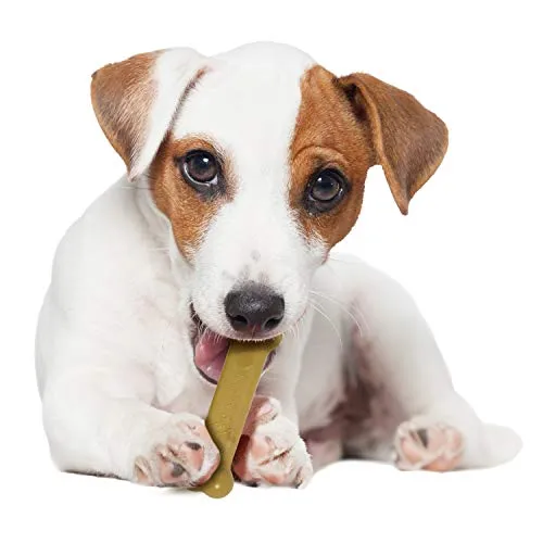 Combo de paquetes de masticación Nylabone Dura