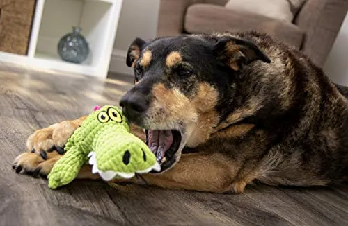trustypup Gator juguete para perro con silencioso Chirriador, verde