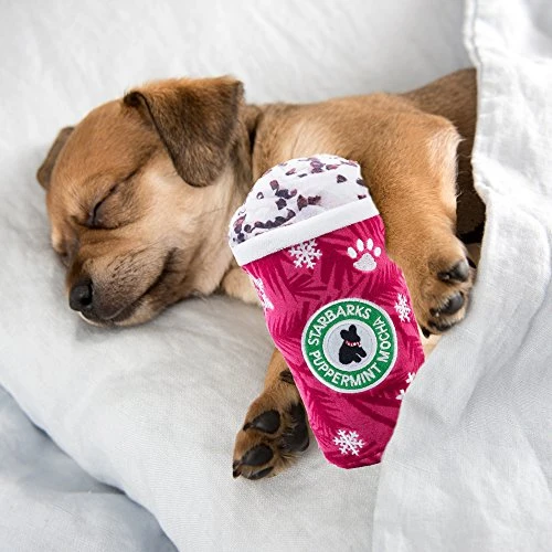 Haute Diggity Dog Starbarks Coffee Collection | Juguetes para perros de peluche chirriantes únicos – Cafeína canina que tu perro puede manejar.
