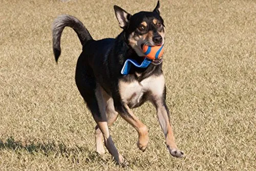 ¡Chuckit de hardware canino! Ultra Tug