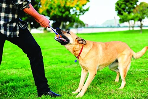 ¡Chuckit de hardware canino! Ultra Tug