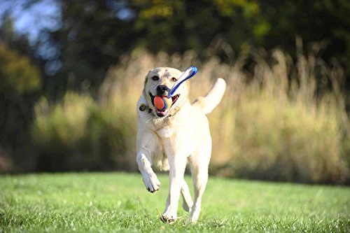 ¡Chuckit de hardware canino! Ultra Tug