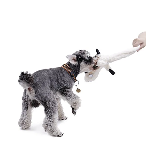 Juguetes de masticar para perros, 3 piezas, de peluche, para mascotas, juguetes de entrenamiento
