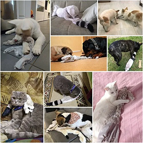 Juguetes de masticar para perros, 3 piezas, de peluche, para mascotas, juguetes de entrenamiento