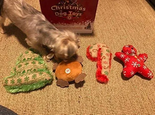 Esceneral - Juguete de peluche para perros y gatos pequeños, 4 unidades