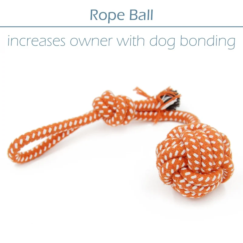 Conjunto de juguetes para perro pequeño, paquete de 6, balón, cuerda y juguetes para masticar para cachorro