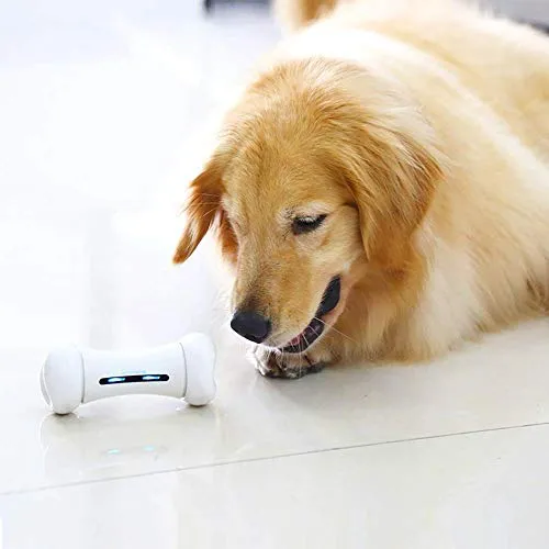 Wickedbone Smart Bone, juguetes automáticos e interactivos para perros, cachorros y gatos, control de aplicaciones, seguro y duradero, mantiene a tus mascotas entretenidas todo el día