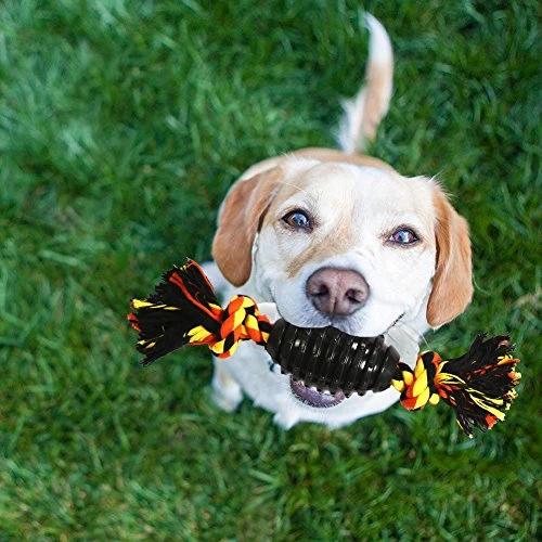 LECHONG Durable Dog Chew Toys for Aggressive Chewer, Combine Ball Rope Dog Toy 13.5 Inch Nearly Indestructible Dog Toy with Convex Design for Puppy Small Medium and Large Dogs