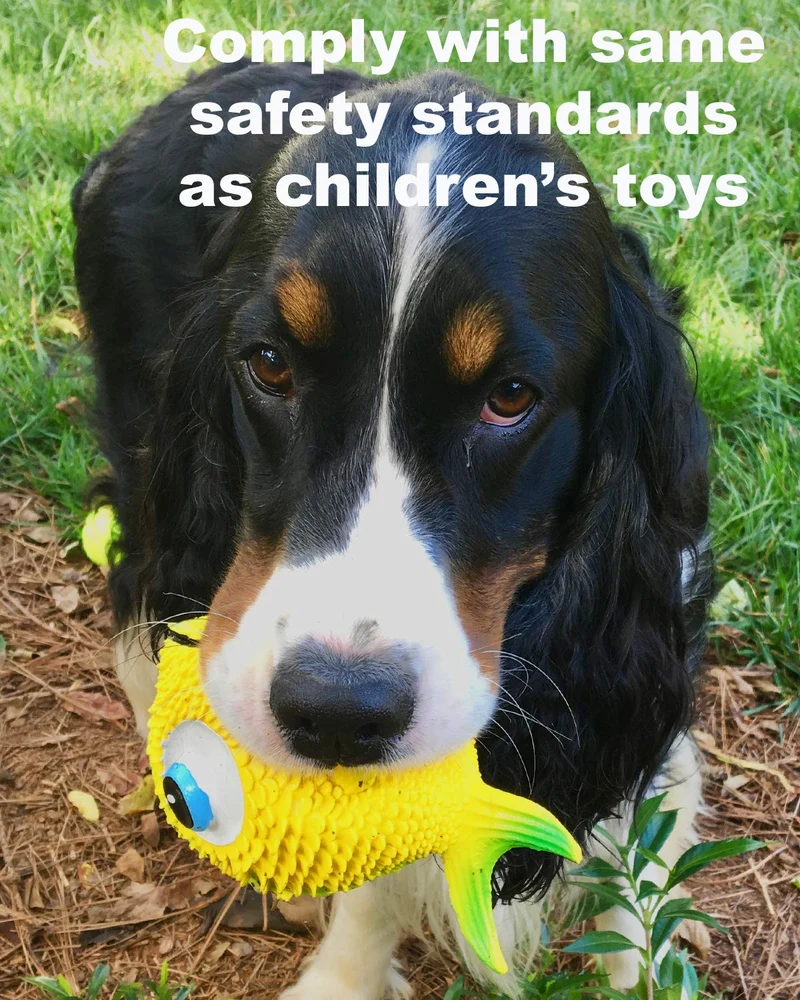 Juguete para perros de pez sensorial. 100% caucho natural (látex). Sin plomo ni productos químicos. Cumple con los mismos estándares de seguridad que los juguetes para niños. Suave, apretado. El mejor juguete para perros pequeños o medianos y perros.