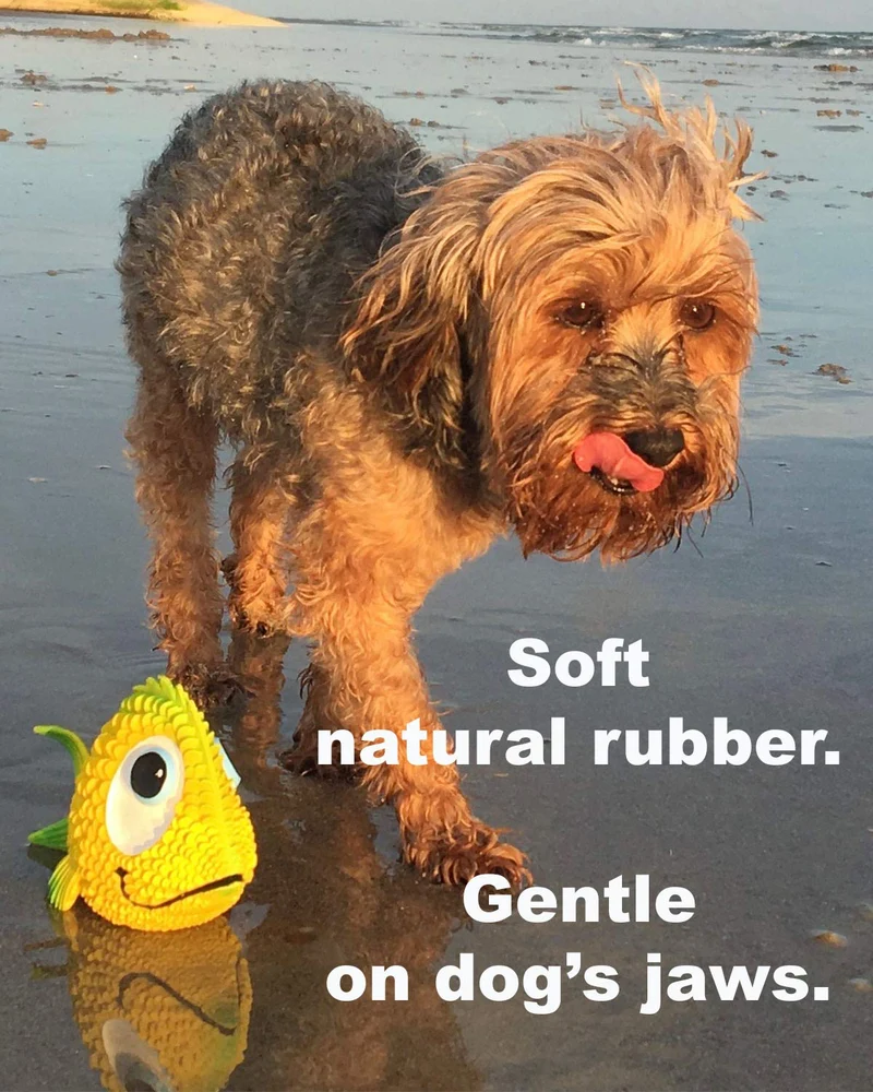 Juguete para perros de pez sensorial. 100% caucho natural (látex). Sin plomo ni productos químicos. Cumple con los mismos estándares de seguridad que los juguetes para niños. Suave, apretado. El mejor juguete para perros pequeños o medianos y perros.