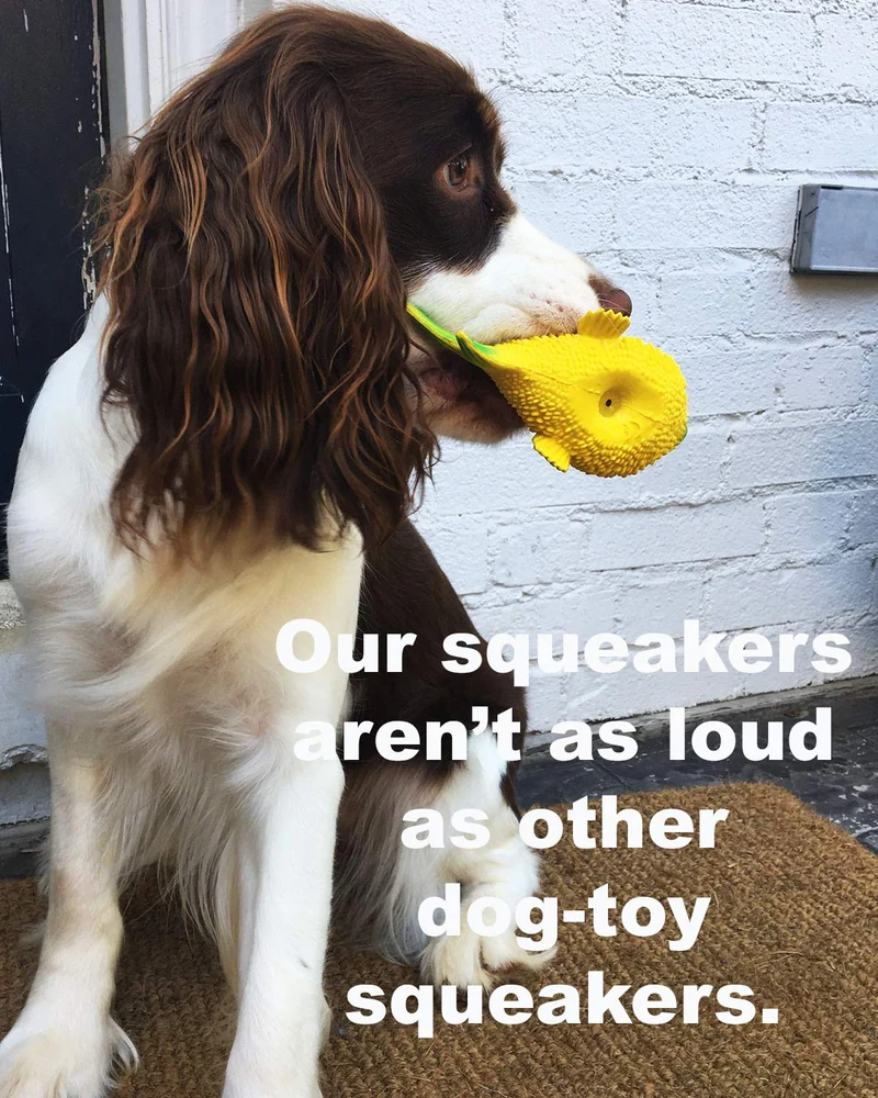 Juguete para perros de pez sensorial. 100% caucho natural (látex). Sin plomo ni productos químicos. Cumple con los mismos estándares de seguridad que los juguetes para niños. Suave, apretado. El mejor juguete para perros pequeños o medianos y perros.
