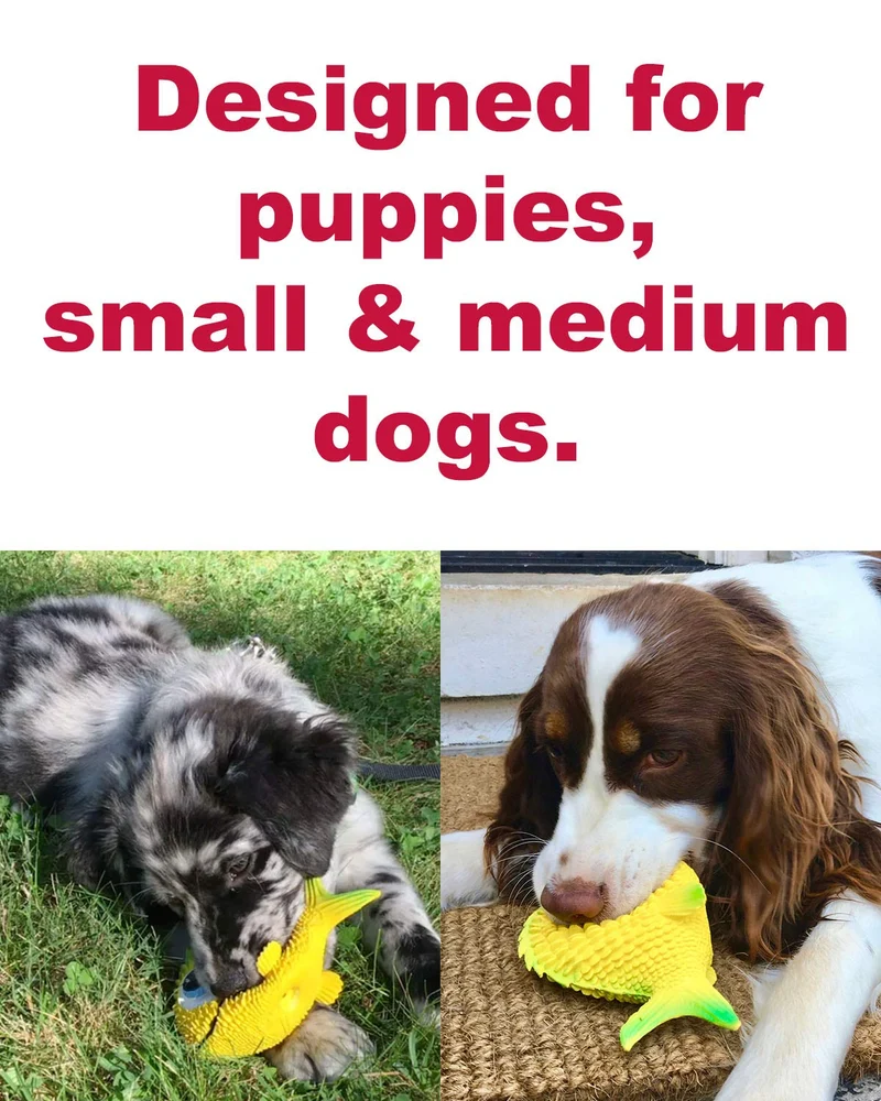 Juguete para perros de pez sensorial. 100% caucho natural (látex). Sin plomo ni productos químicos. Cumple con los mismos estándares de seguridad que los juguetes para niños. Suave, apretado. El mejor juguete para perros pequeños o medianos y perros.