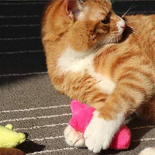 AINOLWAY Juguetes de gato interactivos divertidos para gatito gatito gato gato mimbre dentición masticar 3 piezas
