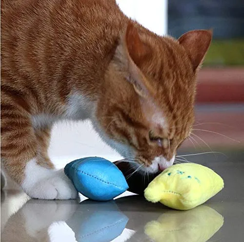 AINOLWAY Juguetes de gato interactivos divertidos para gatito gatito gato gato mimbre dentición masticar 3 piezas