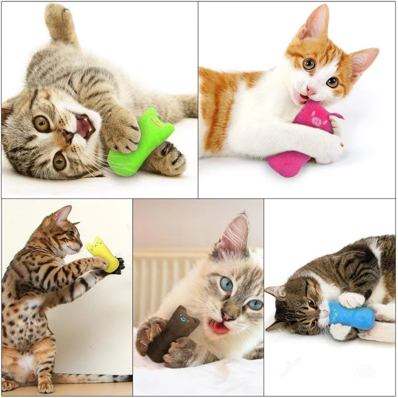 AINOLWAY Juguetes de gato interactivos divertidos para gatito gatito gato gato mimbre dentición masticar 3 piezas
