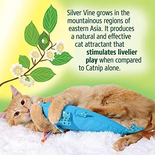 Hartz Cattraction Silver Vine & Catnip Juguetes para gatos