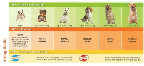 Nylabone Cachorro Doble Pk Anillo & Flexi Combo pollo Sabor, lobo, N/A