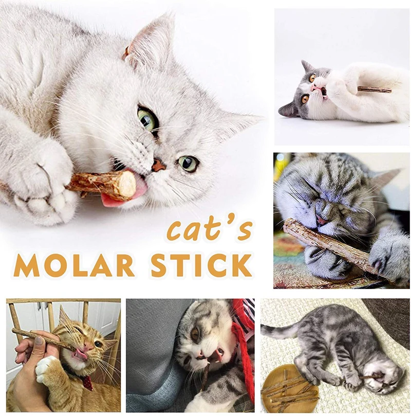 Deyace Catnip Sticks 40 piezas Orgánica Gato Catnip Juguetes Natural Planta Matatabi Plata Vina Masticar Palos Gato Dientes Limpieza Masticar Juguete para Gato Gatito Kitty (40 piezas)