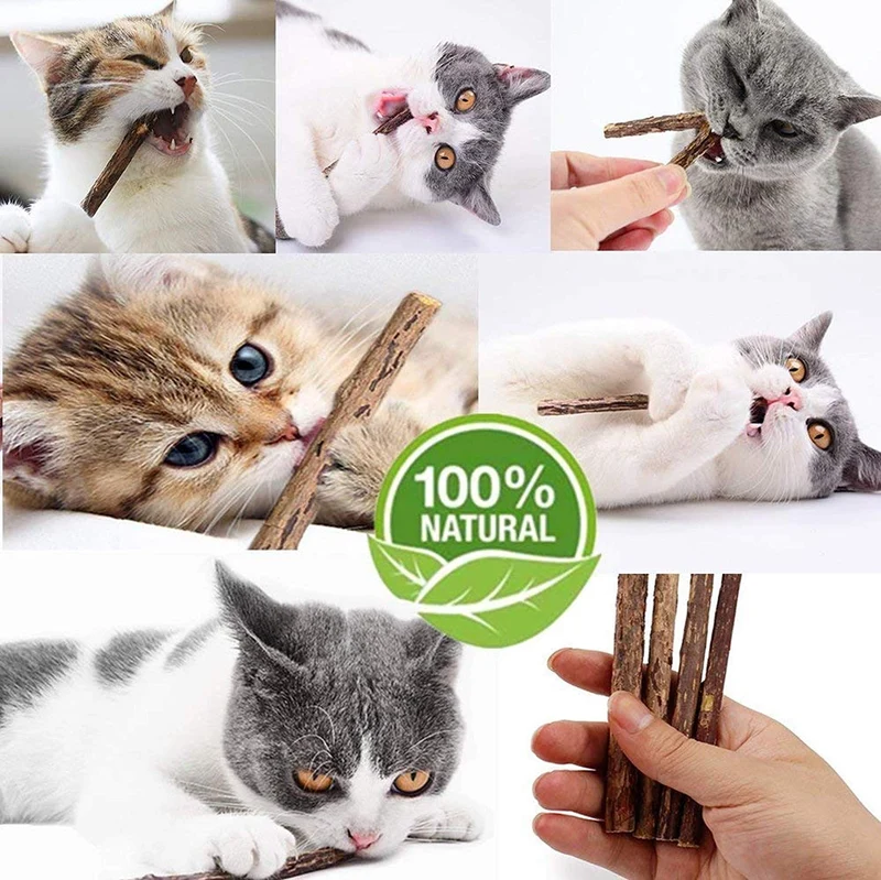 Deyace Catnip Sticks 40 piezas Orgánica Gato Catnip Juguetes Natural Planta Matatabi Plata Vina Masticar Palos Gato Dientes Limpieza Masticar Juguete para Gato Gatito Kitty (40 piezas)