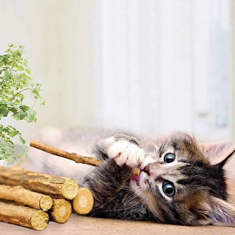Deyace Catnip Sticks 40 piezas Orgánica Gato Catnip Juguetes Natural Planta Matatabi Plata Vina Masticar Palos Gato Dientes Limpieza Masticar Juguete para Gato Gatito Kitty (40 piezas)