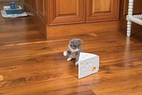 Juguetes electrónicos para gatos PetSafe, quesos automáticos y pájaros Peek-A-Bird, escondite y busque juguete, interactivo Ambush pájaro y ratón caza, diversión activada por movimiento para gatitos