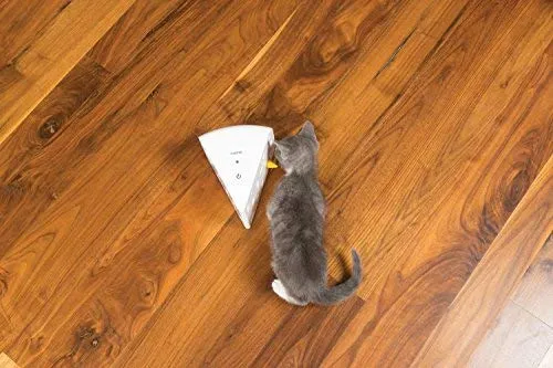 Juguetes electrónicos para gatos PetSafe, quesos automáticos y pájaros Peek-A-Bird, escondite y busque juguete, interactivo Ambush pájaro y ratón caza, diversión activada por movimiento para gatitos