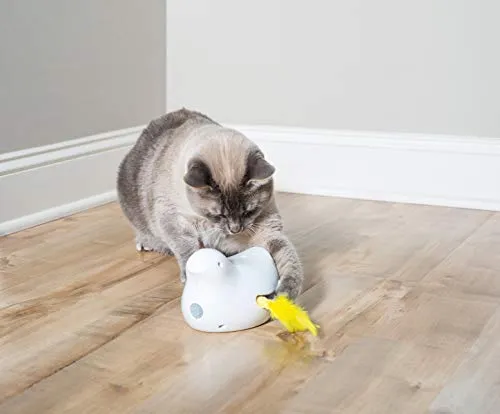 Juguetes electrónicos para gatos PetSafe, quesos automáticos y pájaros Peek-A-Bird, escondite y busque juguete, interactivo Ambush pájaro y ratón caza, diversión activada por movimiento para gatitos