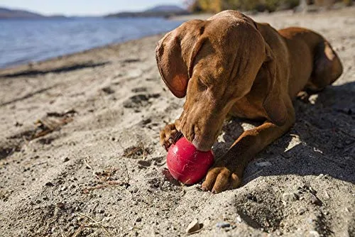 KONG Ball Dog Toys