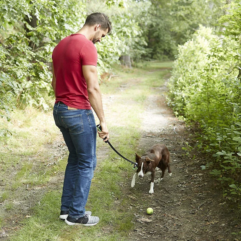 Franklin Pet Supply - Juguete para recoger perros, lanzador de pelotas de tenis, juego con tu perro, lanzador de pelotas de perro