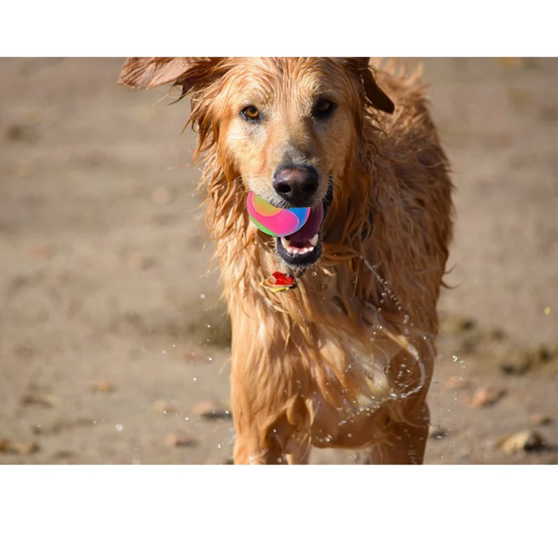 fineinno mascota Light-Up elástico bolas duradero intermitente Molar juguete interactivo para bola para gatos perros para lejos de aburrimiento
