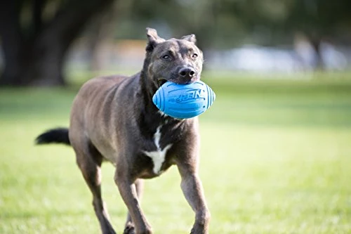 Nerf juguete fútbol con sonido para perro