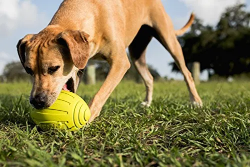 Nerf juguete fútbol con sonido para perro