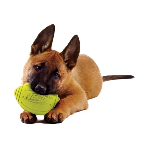 Nerf juguete fútbol con sonido para perro