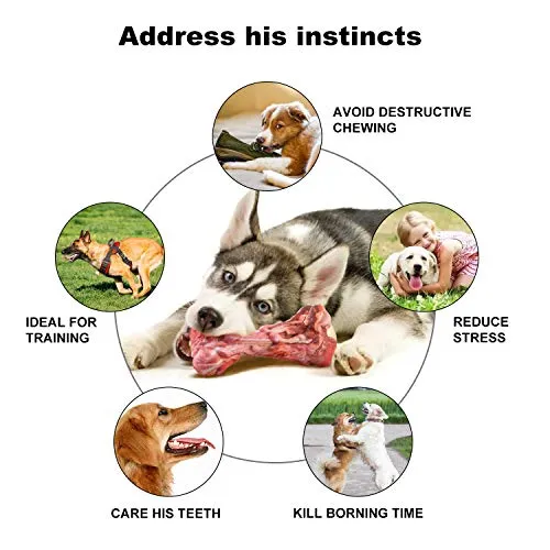 HIKISS Dog Chew Toy for Aggressive Chewers,Dog Toothbrush Chew Toy Stick Non-Toxic Rubber Dog Bone Toy Safe Reduces Boredom