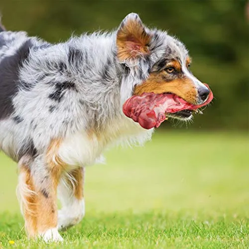 HIKISS Dog Chew Toy for Aggressive Chewers,Dog Toothbrush Chew Toy Stick Non-Toxic Rubber Dog Bone Toy Safe Reduces Boredom