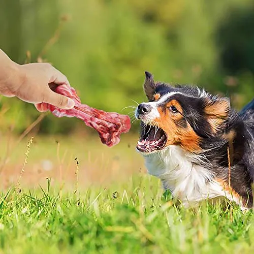 HIKISS Dog Chew Toy for Aggressive Chewers,Dog Toothbrush Chew Toy Stick Non-Toxic Rubber Dog Bone Toy Safe Reduces Boredom