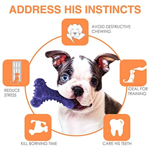 HIKISS Dog Chew Toy for Aggressive Chewers,Dog Toothbrush Chew Toy Stick Non-Toxic Rubber Dog Bone Toy Safe Reduces Boredom